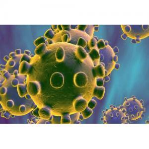 Het Corona-Virus