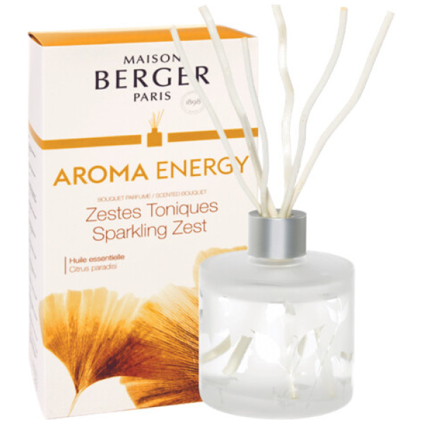 Maison Berger Geurstokjes Giftset Aroma Energy