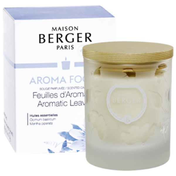 Maison Berger Geurkaars Aroma Focus