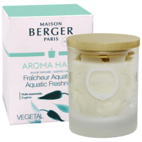 Maison Berger Geurkaars Aroma Happy