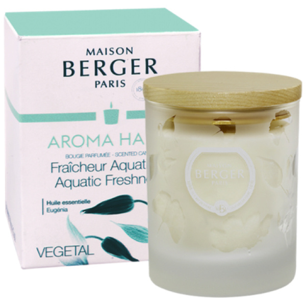 Maison Berger Geurkaars Aroma Happy