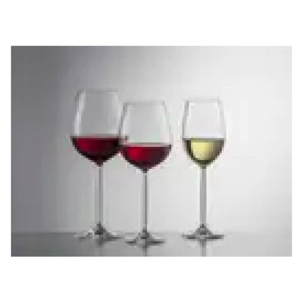 Schott Zwiesel Diva Water Rode wijnglas 1 0.61Ltr 2 stuks 3
